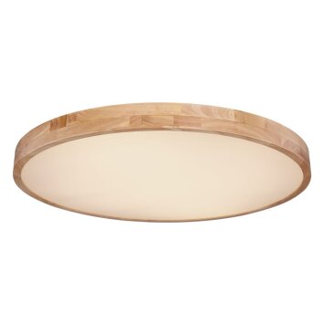 Globo MASHISO Deckenleuchte LED, 1-flammig, Fernbedienung Globo MASHISO Deckenleuchte LED, 1-flammig, Fernbedienung