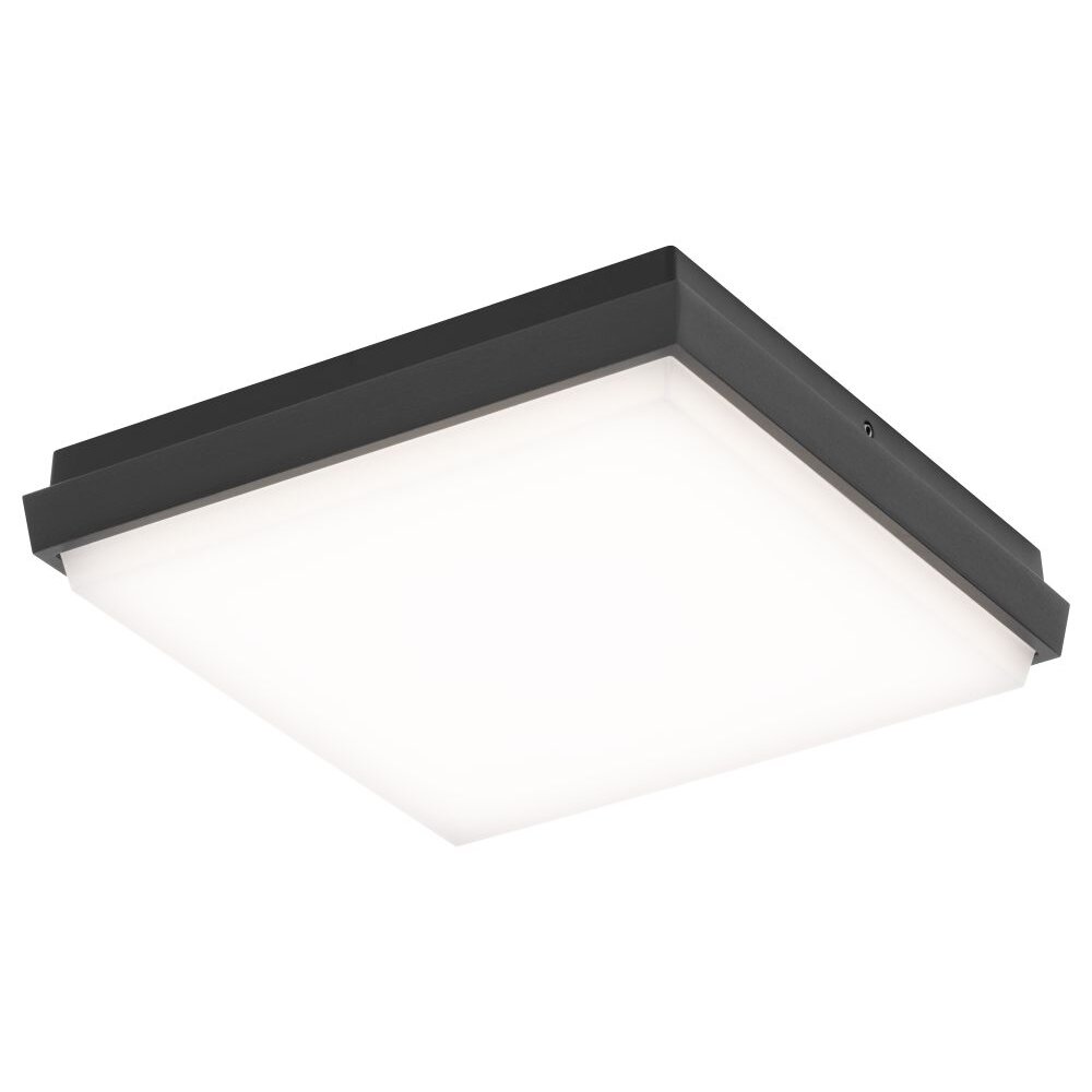 LCD TYP 5061 Außendeckenleuchte LED Schwarz, 1-flammig main product photo