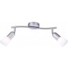 Globo CATHY Strahler Nickel-Matt, 2-flammig