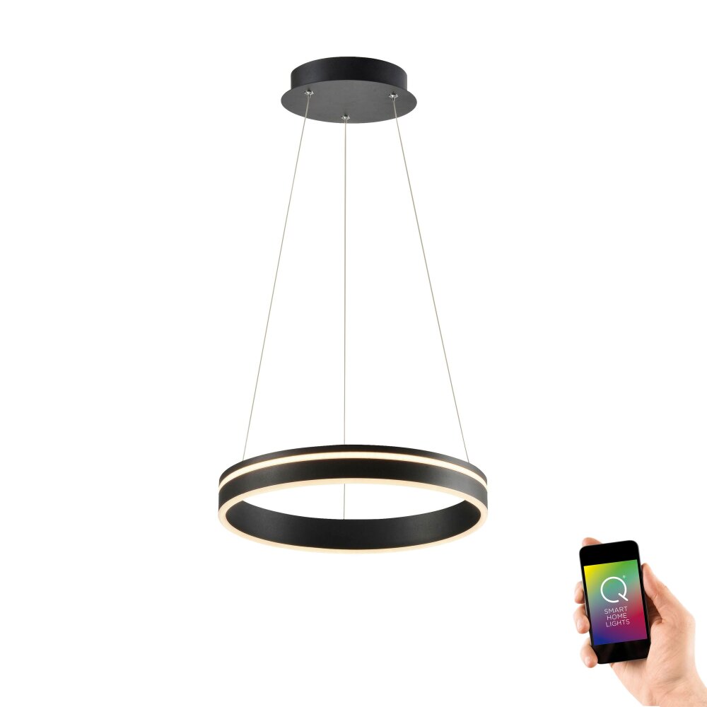 Paul Neuhaus Q-VITO Pendelleuchte LED Anthrazit, 1-flammig, Fernbedienung main product photo