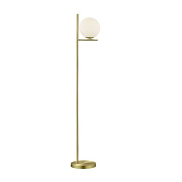 Trio Leuchten PURE Stehleuchte Messing, 1-flammig