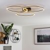 Johsa Deckenleuchte LED Schwarz, 3-flammig