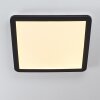 Siguna LED Panel Schwarz, Weiß, 1-flammig