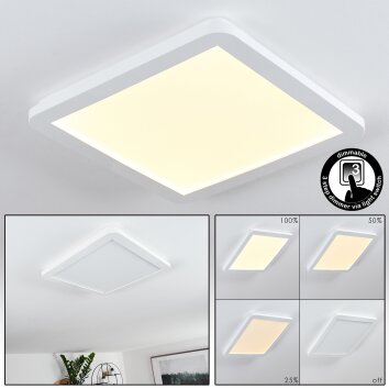 Siguna LED Panel Weiß, 1-flammig