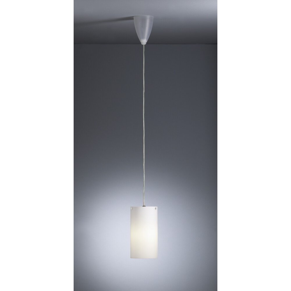 Tecnolumen HLWS 04 Pendelleuchte Nickel-Matt, 1-flammig main product photo