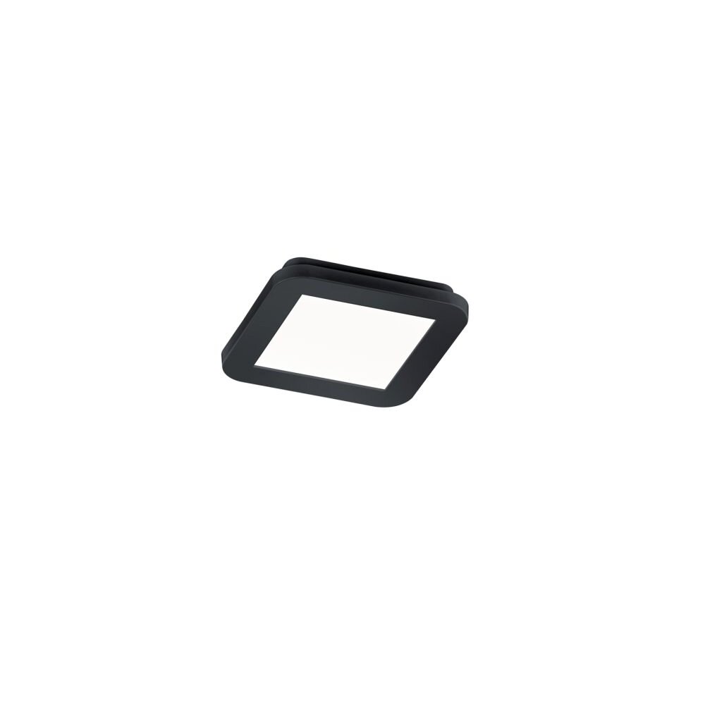 Reality CAMILLUS Deckenleuchte LED Schwarz, 1-flammig main product photo