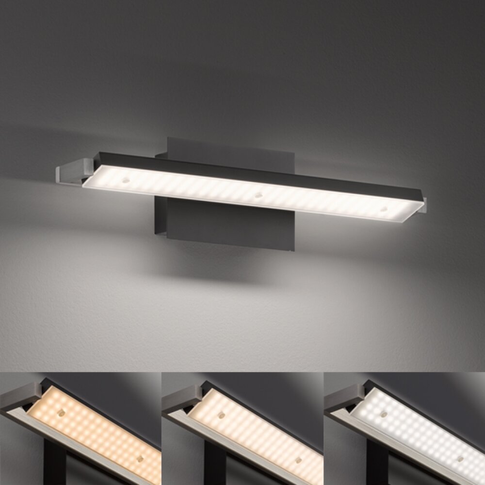 Fischer & Honsel Pare Wandleuchte LED Schwarz, 1-flammig main product photo