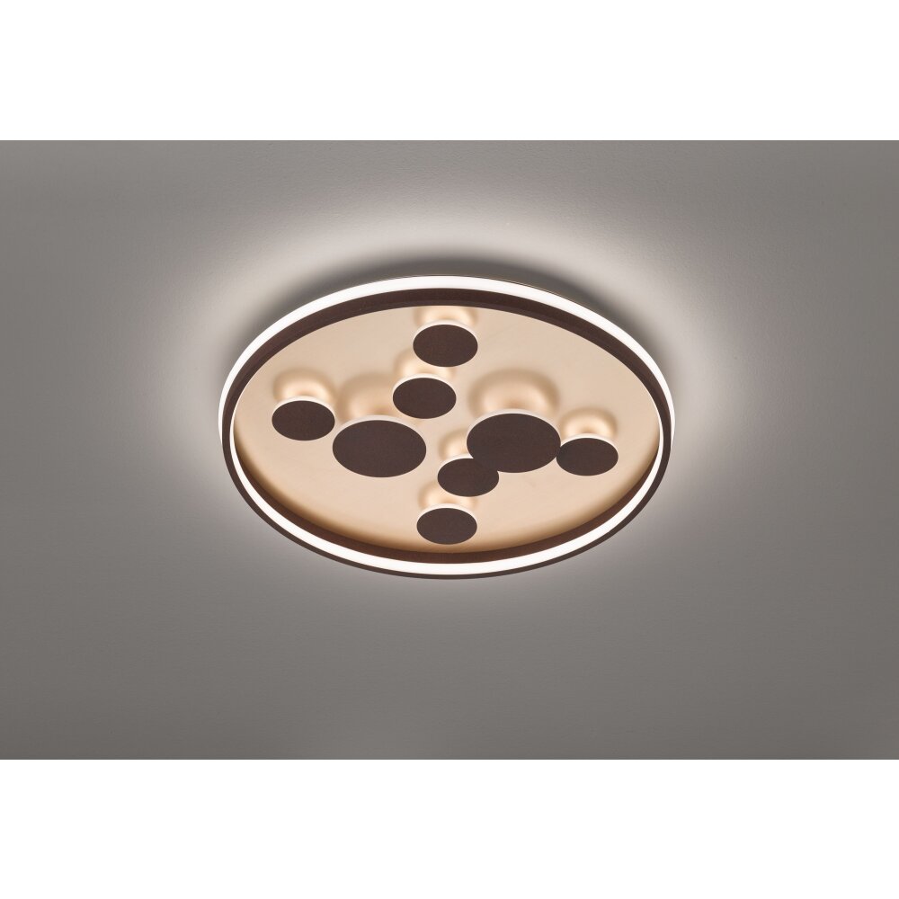 Fischer & Honsel Rico Deckenleuchte LED Braun, 1-flammig main product photo