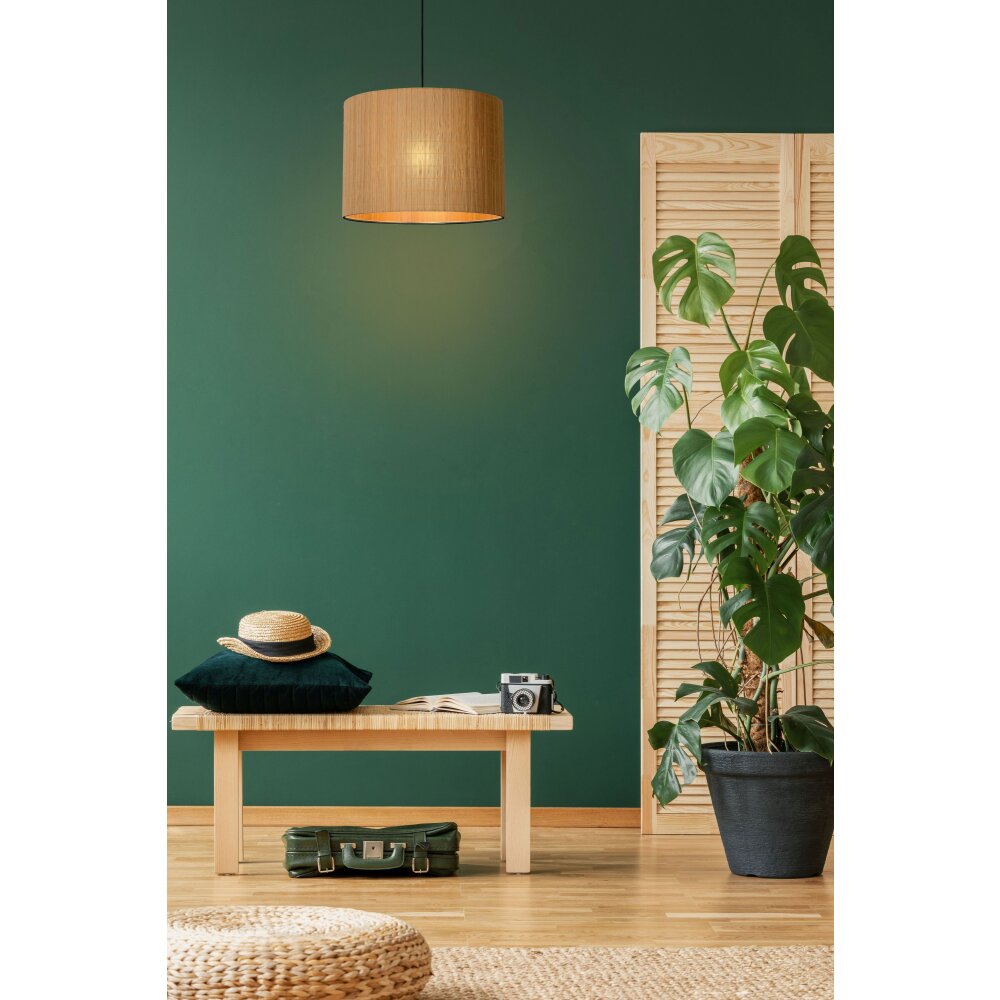 Lucide MAGIUS Pendelleuchte Schwarz, 1-flammig main product photo