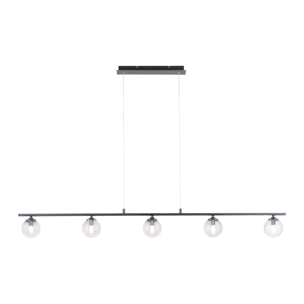 Paul Neuhaus WIDOW Pendelleuchte LED Schwarz, 5-flammig main product photo