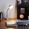 Pineda Tischleuchte LED Chrom, 1-flammig