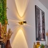 Sapri Wandleuchte Gold, 1-flammig