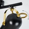 Rialey Deckenleuchte Messing, Schwarz, 4-flammig