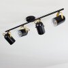 Rialey Deckenleuchte Messing, Schwarz, 4-flammig
