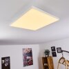 Buenaventura LED Panel Weiß, 1-flammig, Fernbedienung