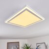 Salamo LED Panel Weiß, 2-flammig, Fernbedienung