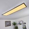 Nexo  LED Panel Schwarz, 1-flammig, Fernbedienung