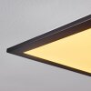 Nexo  LED Panel Schwarz, 1-flammig, Fernbedienung