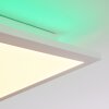 Turbala LED Panel Weiß, 2-flammig, Fernbedienung, Farbwechsler