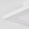 Turbala LED Panel Weiß, 2-flammig, Fernbedienung, Farbwechsler