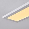 Nexo  LED Panel Weiß, 1-flammig, Fernbedienung