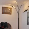 Totara Stehleuchte LED Schwarz, 5-flammig Totara Stehleuchte LED Schwarz, 5-flammig