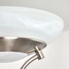 Mairoa Deckenfluter LED Nickel-Matt, 2-flammig