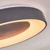 Casina Deckenleuchte LED Anthrazit, Weiß, 1-flammig, Fernbedienung