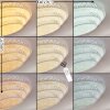 Roseto Deckenleuchte LED Transparent, Klar, Weiß, 1-flammig, Fernbedienung