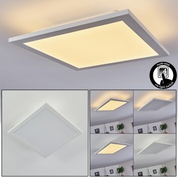 Nexo LED Panel Weiß, 1-flammig