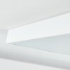 Pedemonte LED Panel Weiß, 1-flammig