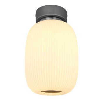 Globo BOOMER Deckenleuchte LED Anthrazit, Nickel-Matt, 1-flammig