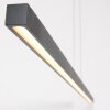 Steinhauer Light Stripe Pendelleuchte LED Schwarz, 1-flammig