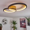 Baiyin Deckenleuchte LED Gold, 1-flammig