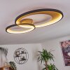 Tuzik Deckenleuchte LED Gold, Schwarz, 1-flammig