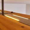 Adak Deckenleuchte LED Grau, 1-flammig