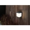 Lutec DOBLO Solar-Außenwandleuchte LED Anthrazit, 1-flammig, Bewegungsmelder