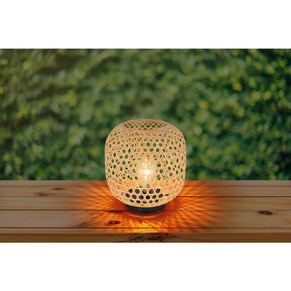 Globo Sun Solarleuchte LED Braun, 1-flammig main product photo