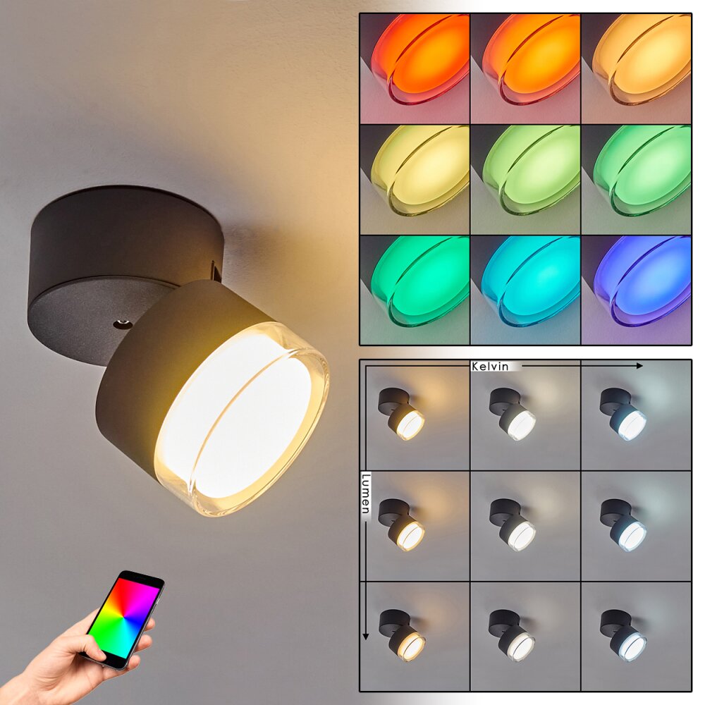 Papagayos Außendeckenleuchte LED Anthrazit, Weiß, 1-flammig, Farbwechsler main product photo