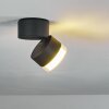 Papagayos Außendeckenleuchte LED Anthrazit, Weiß, 1-flammig, Farbwechsler