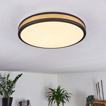 Kirtland Deckenpanel LED Gold, Schwarz, 1-flammig