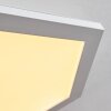 Fanebal Deckenpanel LED, 1-flammig