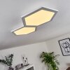 Fanebal Deckenpanel LED, 1-flammig