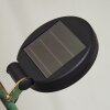 Taft Solarleuchte LED Bernsteinfarben, Grün, Kupferfarben, 1-flammig