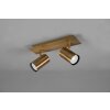 Trio Marley Deckenleuchte Altmessing, 2-flammig