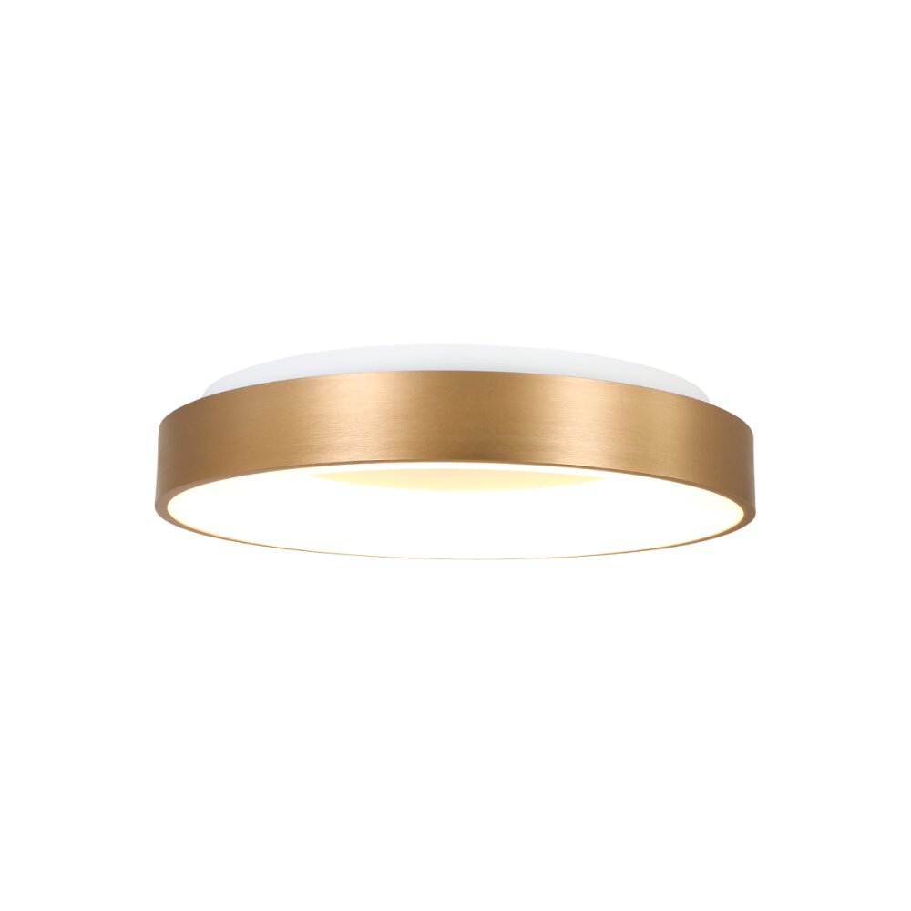 Steinhauer Ringlede Deckenleuchte Gold, Weiß, 1-flammig main product photo