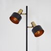 Pretoria Stehleuchte Gold, Schwarz, 2-flammig