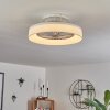 Moli Deckenventilator LED Weiß, 1-flammig, Fernbedienung