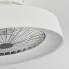 Moli Deckenventilator LED Weiß, 1-flammig, Fernbedienung