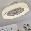 Moli Deckenventilator LED Weiß, 1-flammig, Fernbedienung